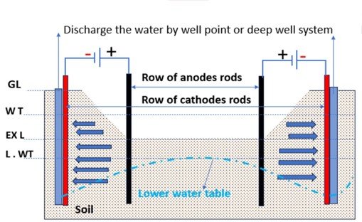 A picture of a colorful flower